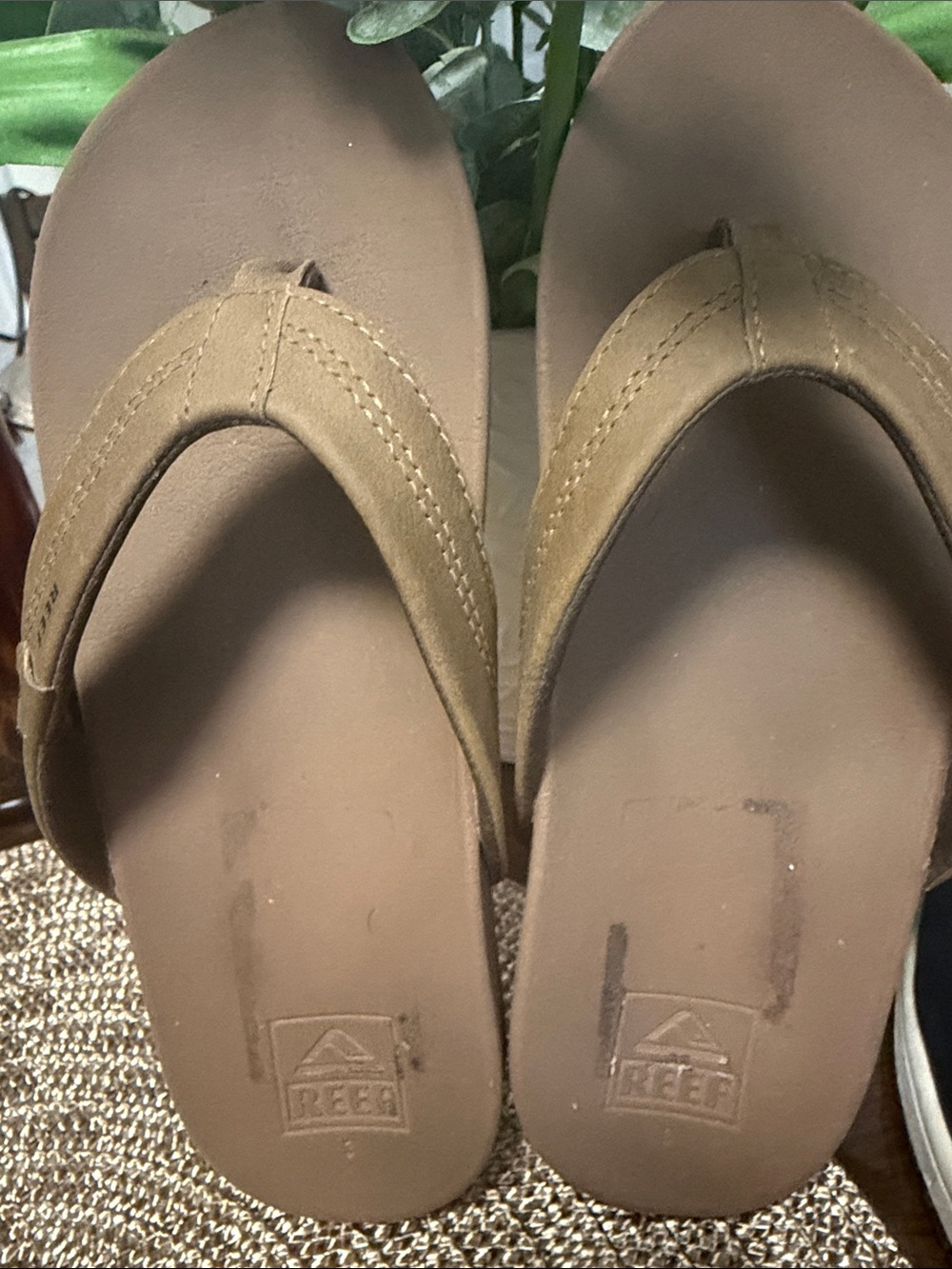 Reef Women's Tan Cushion Thong Sandals
